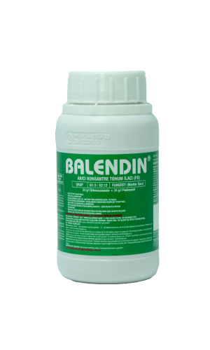Balendinv2
